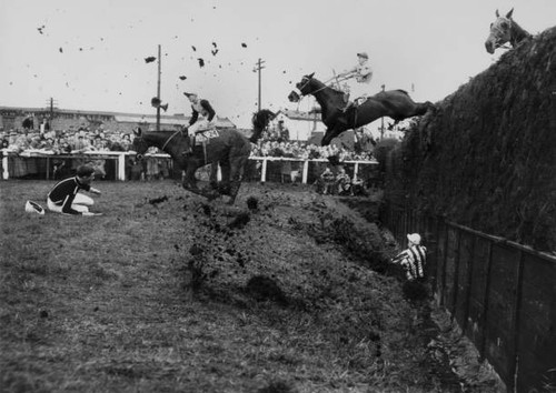 Sport horse racing grand - sport,