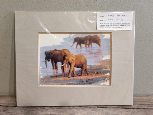 David shepherd wet jumbo - david,