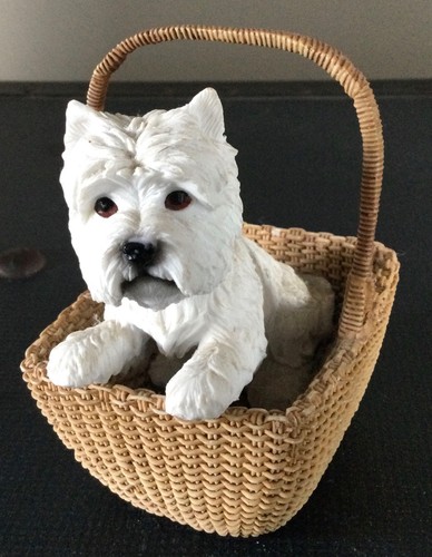 Westie west highland - westie, terrier