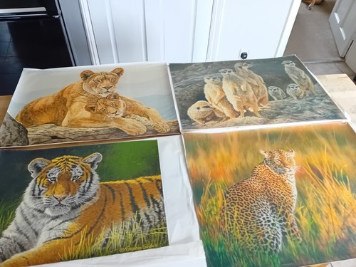Stephen gayford canvas - 4, x