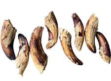 100% Natural  Lamb Horn Marrow