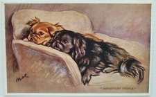 Important People. Mac. Valentine's Mabel Gear Dog Postcard. No. 4135.