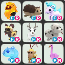 | Adopt From Me Today! |