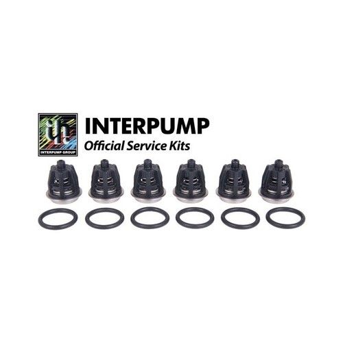 Interpump kit valve repair - 1,