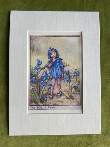 Scilla flower fairy - ‘scilla’,