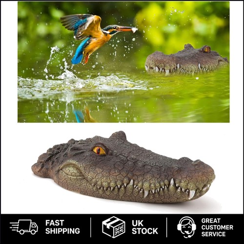 Realistic floating alligator - floating,