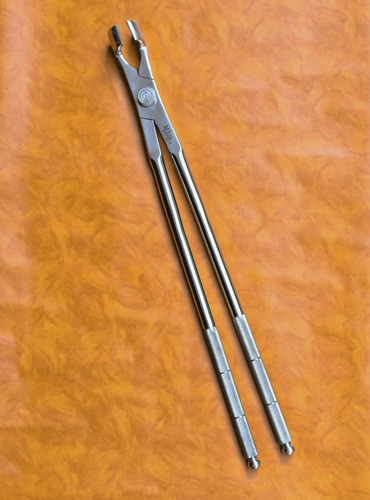 Molar equine dental forceps - dental,