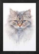 Cymric cat portrait Framed
