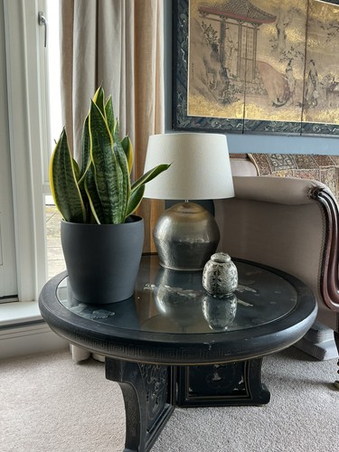 Chinese black lacquer - chinese,