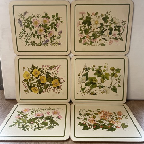 Vintage clover leaf wild - clover,
