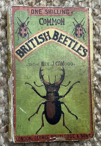 Antique 1870s common british - antique,