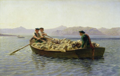 Rosa bonheur changing - rosa,