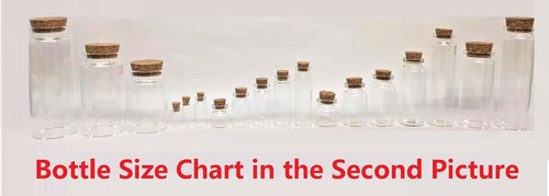 Clear glass bottles with cork - glass,