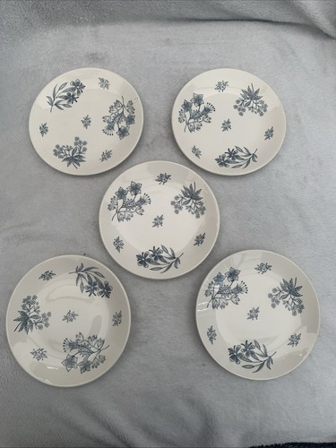 Ridgway symphony plates - symphony, —