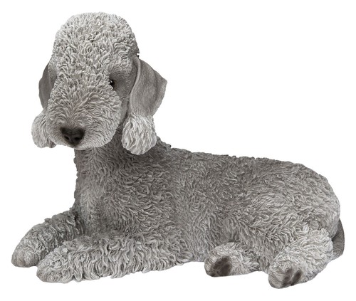 Vivid arts blue bedlington - blue,
