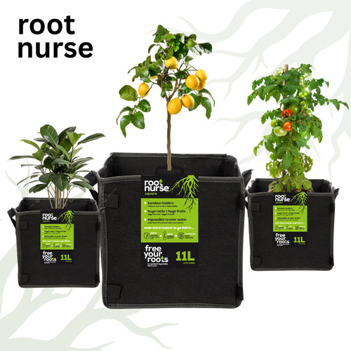 Root nurse square fabric plant - root,