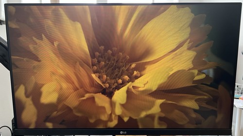 27in 27mp60g ips amd - lg,