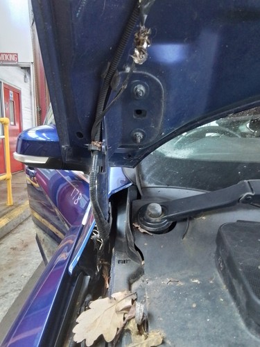Bonnet hinge ford focus - ford,