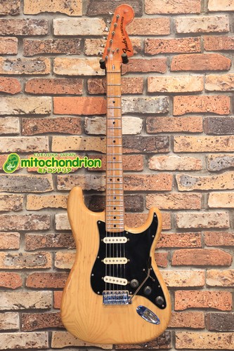 Fender 1976 stratocaster - fender,