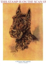 1933 SCOTTISH TERRIER Print