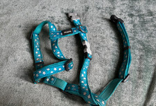 Red Dingo dog Harness Stars blue turquoise Size - small dog , see photos, used