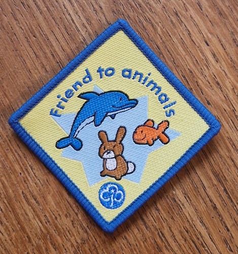 Girlguiding old friend - girlguiding, to