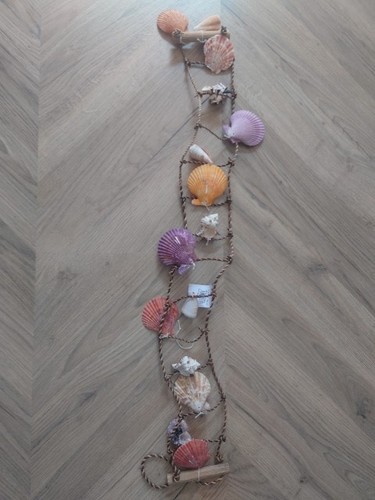 Sea shells hanging - sea, decoration