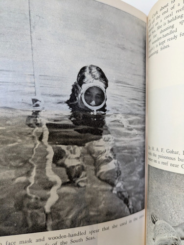 Classic diving spearfishing - /,