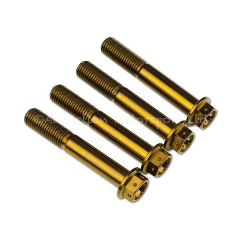 Bronze titanium front - 4x,