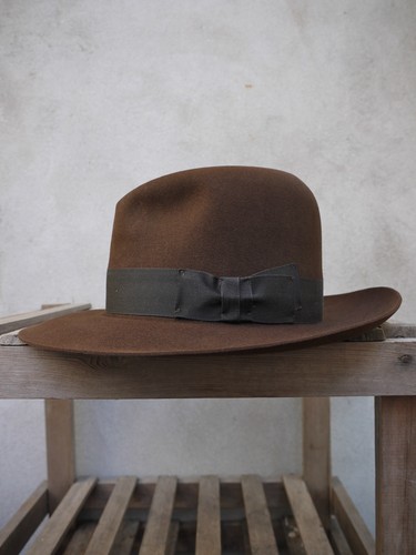 The indiana jones adventurer - indiana,