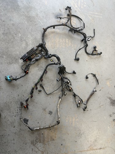 Ford focus st225 - engine, wiring