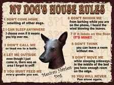 Mexican Hairless Dog My Dog's