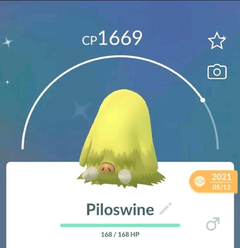 Pokèmon shiny piloswine - pokèmon,