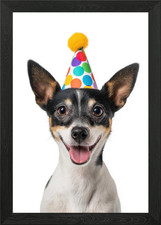 Rat Terrier Dog with Party Hat