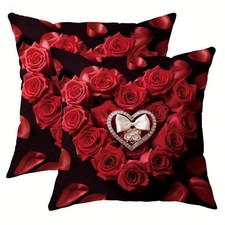 Beautiful 2 pieces set pillow