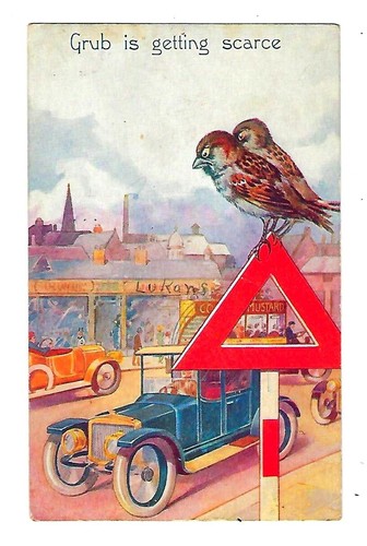 1916 comic humor postcard grub - comic,
