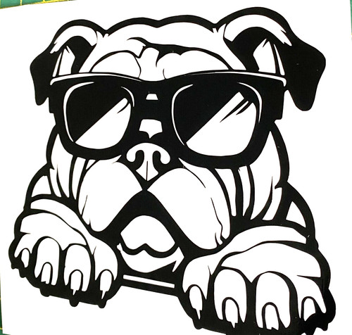English bulldog dog - 1x,