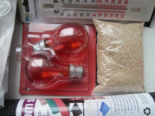 Baby chick brooder starter kit - chick,