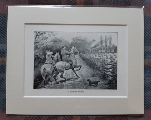 Antique print horse riding - antique, horse-riding