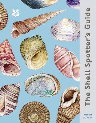 The shell spotter - shell, guide