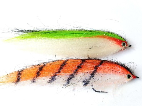Rutland grafham pike zander - rutland,