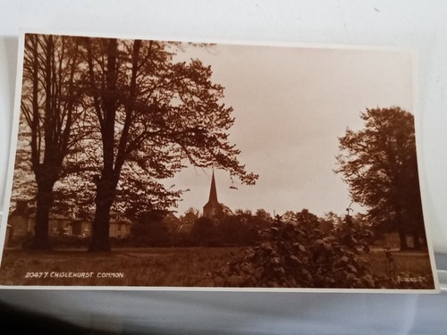 Chislehurst common postcard - chislehurst,