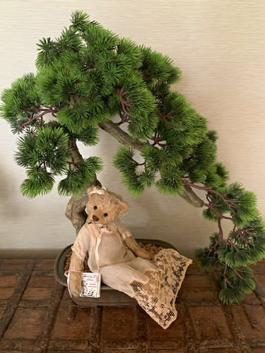 Memory lane bears millie - memory,