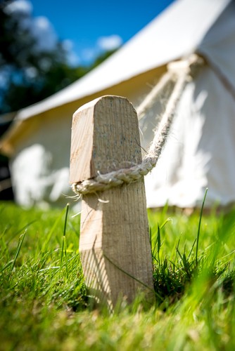 Wooden tent pegs super - pegs,