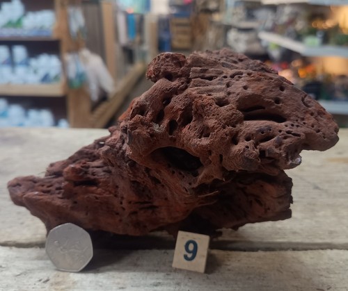 Small natural bogwood nano - small,
