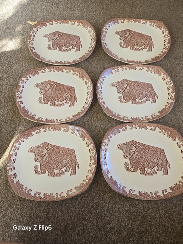 Beefeater brown bull oval - brown,