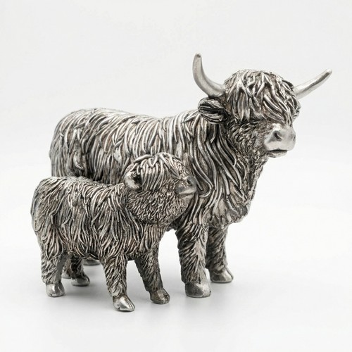 Silver highland cow - silver, calf