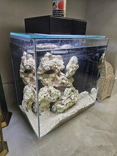 Small Aquarium With One Fish
