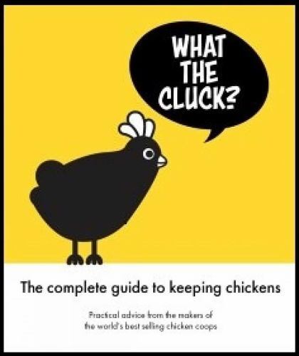 What the cluck omlet - cluck?:,