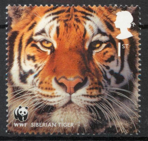 Wwf siberian tiger animal - animal, gb